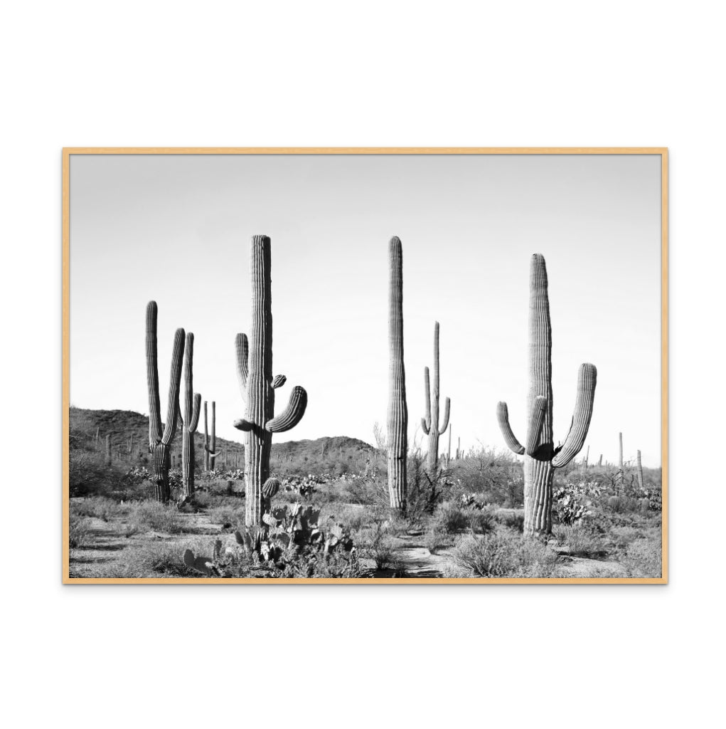 Gray Cactus Land Art Print