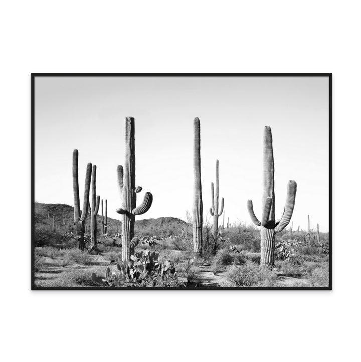 Grey Cactus Land Art Print