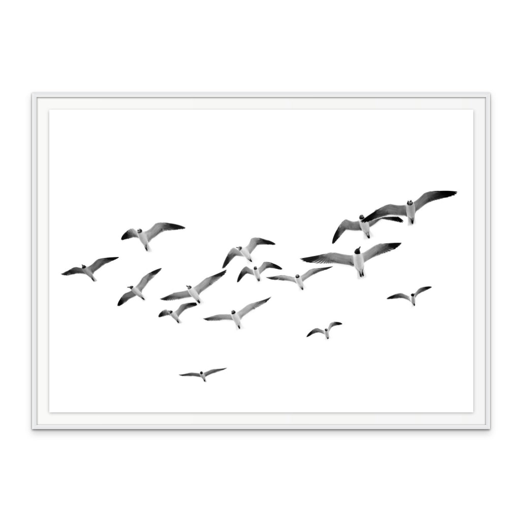 Flying Birds Art Print