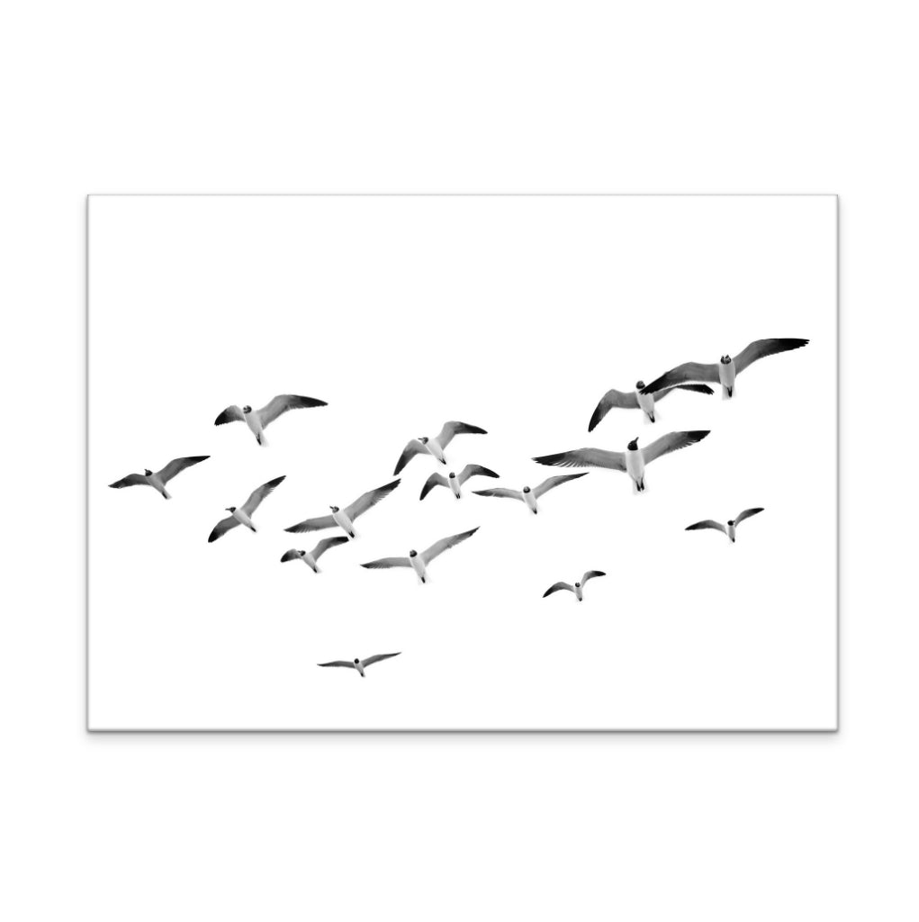 Flying Birds Art Print