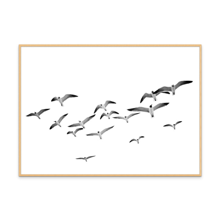 Flying Birds Art Print