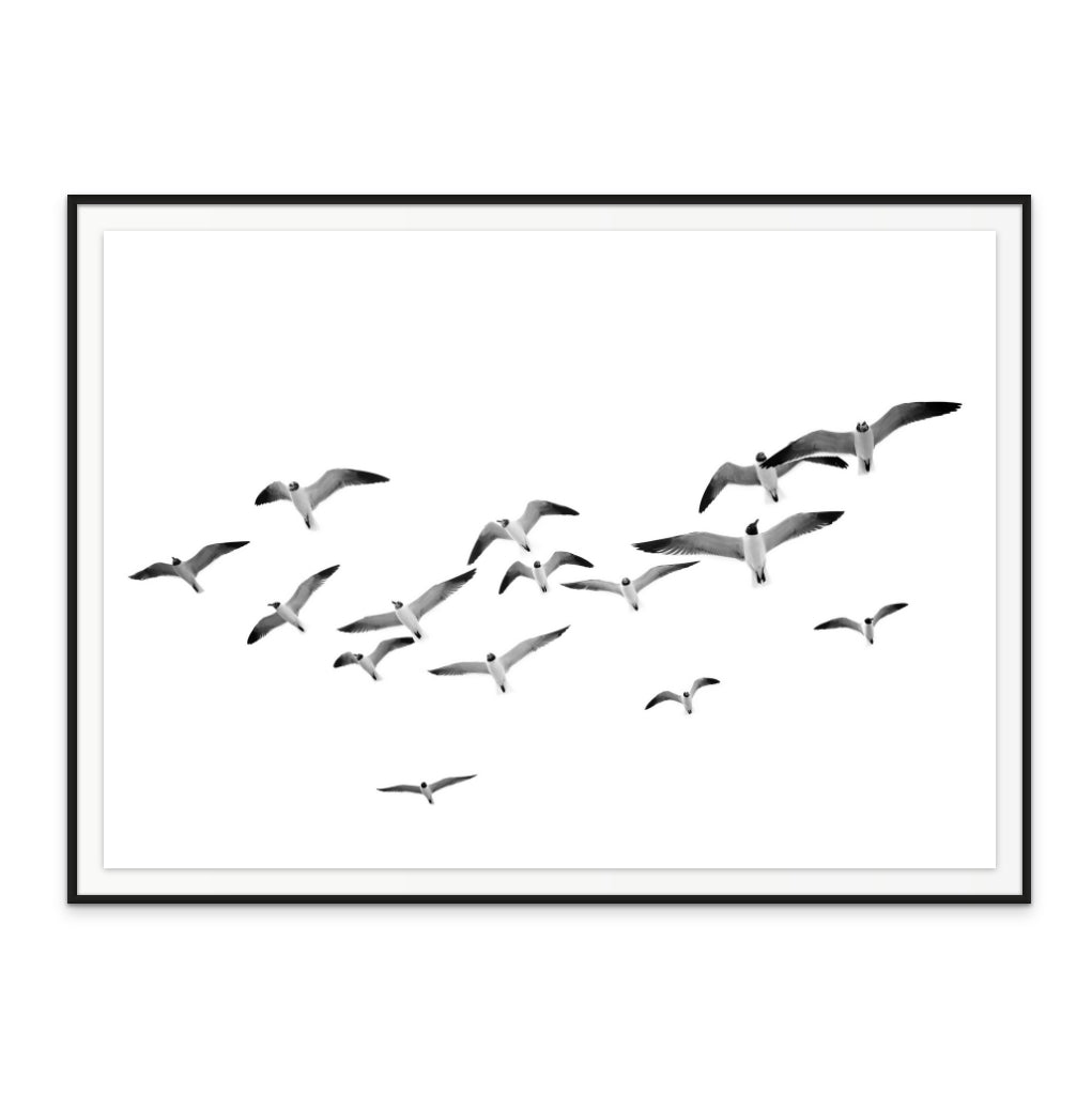 Flying Birds Art Print