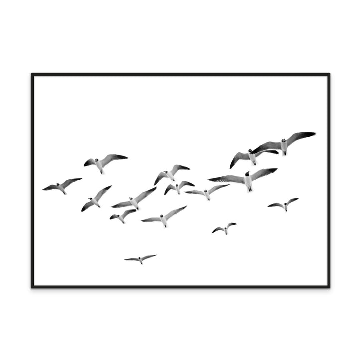 Flying Birds Art Print