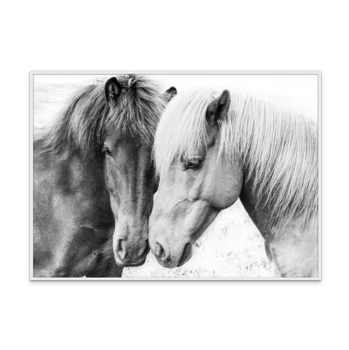 Horse Love Art Print