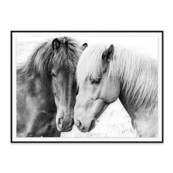 Horse Love Art Print