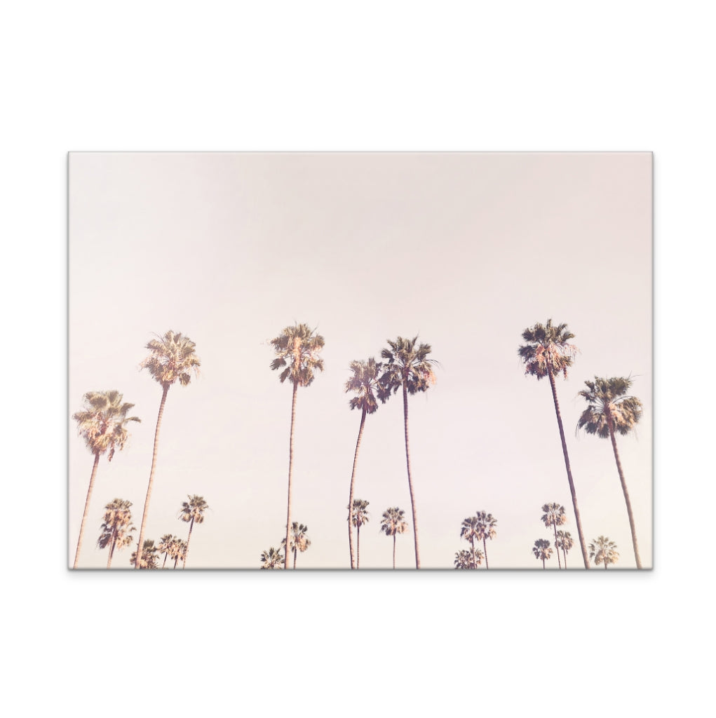 Sunny Cali Palm Trees Art Print