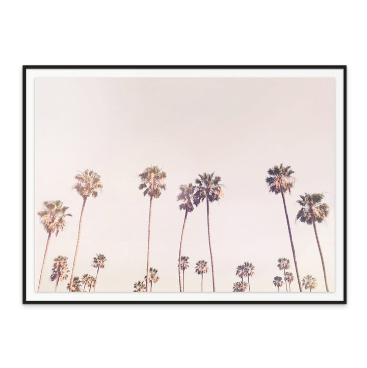 Sunny Cali Palm Trees Art Print