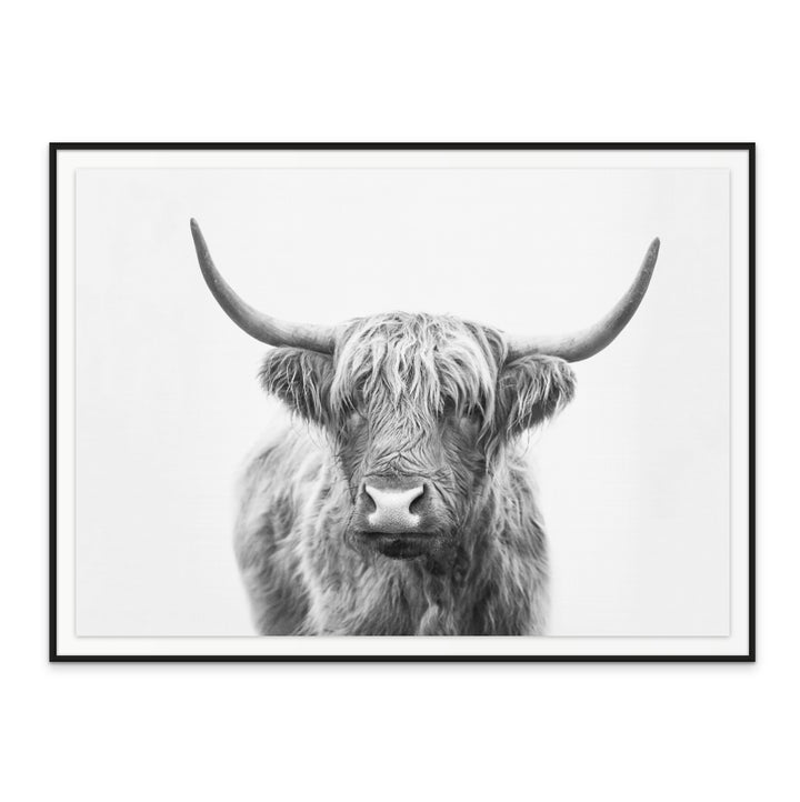 Highland Bull Art Print