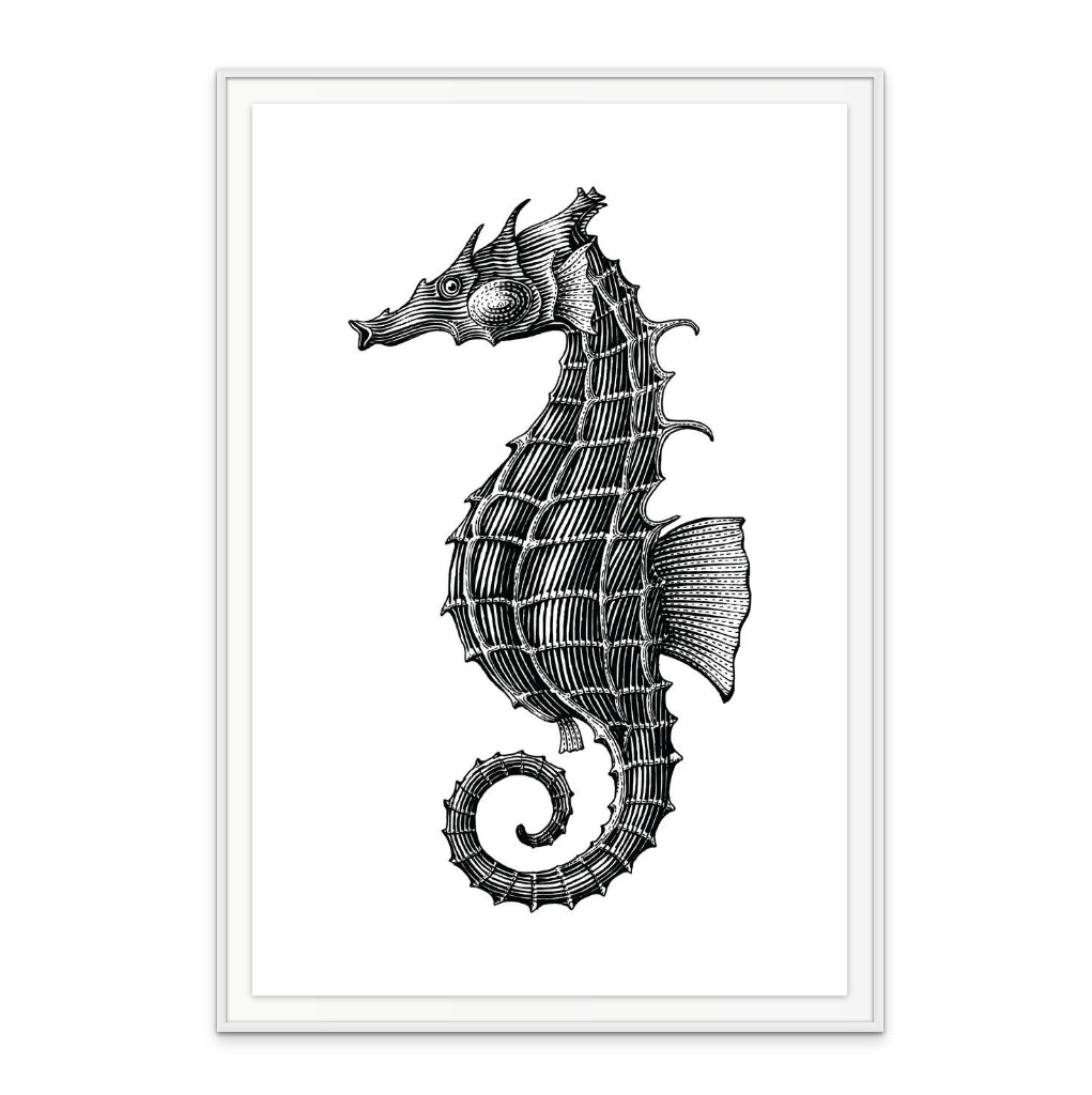 Seahorse Art Print