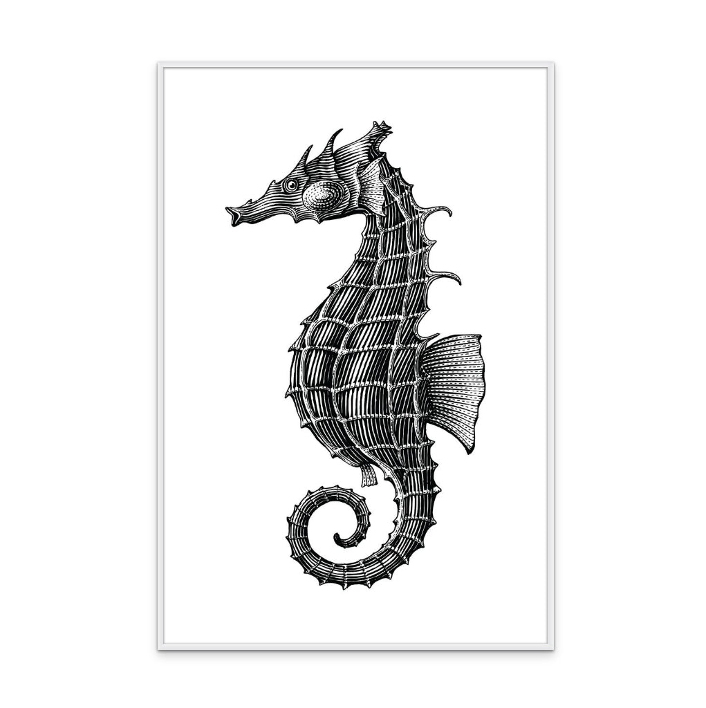 Seahorse Art Print