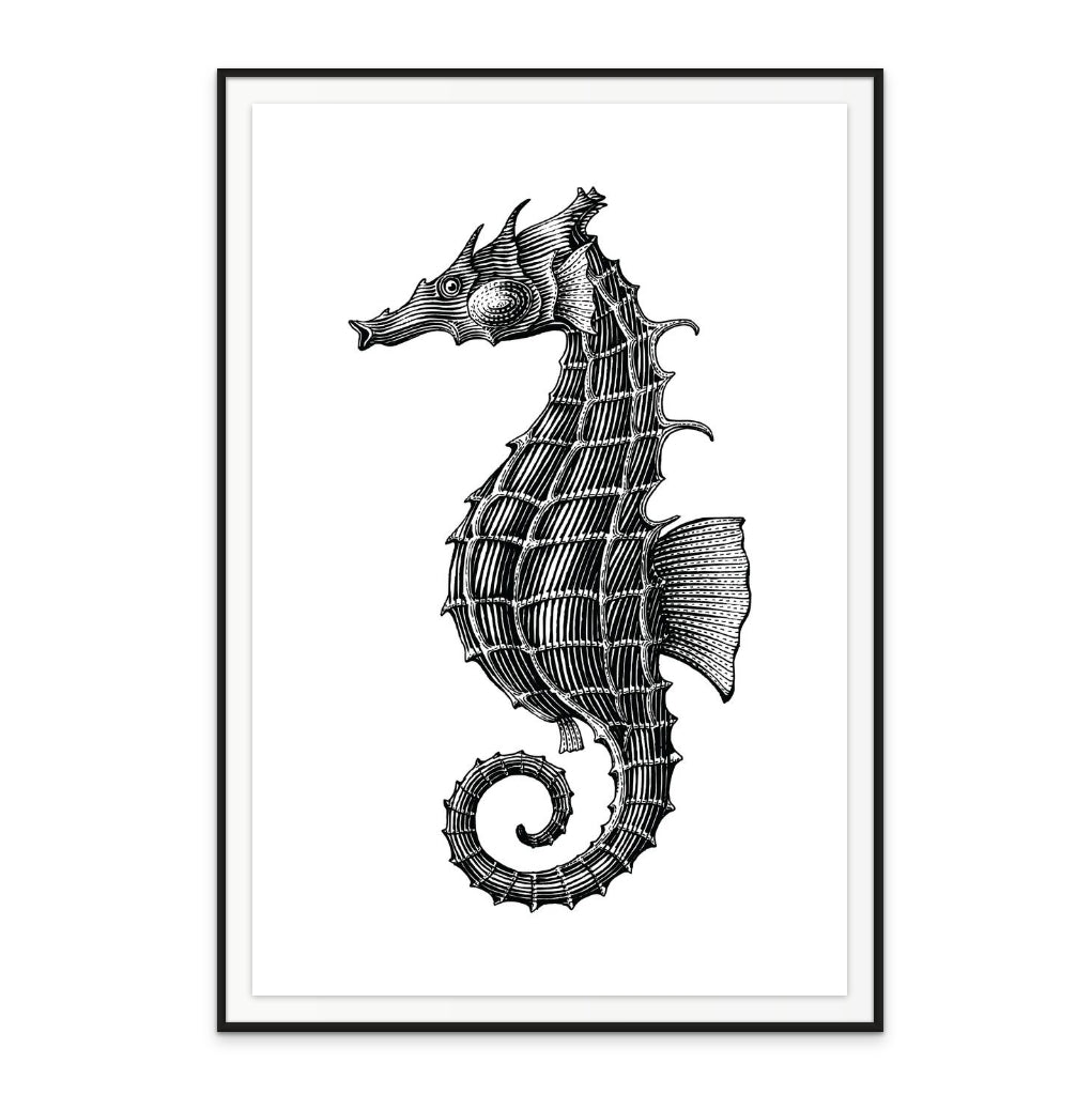 Seahorse Art Print