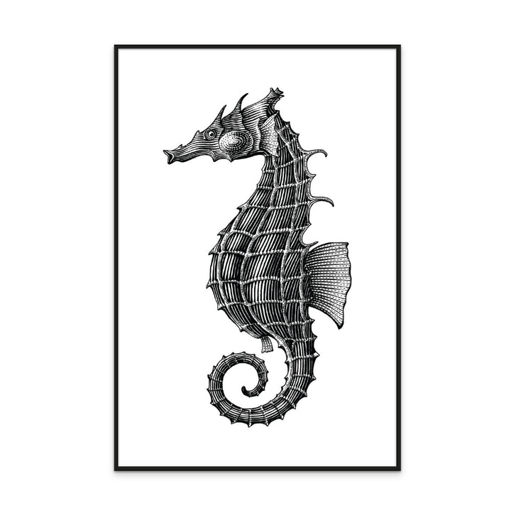 Seahorse Art Print