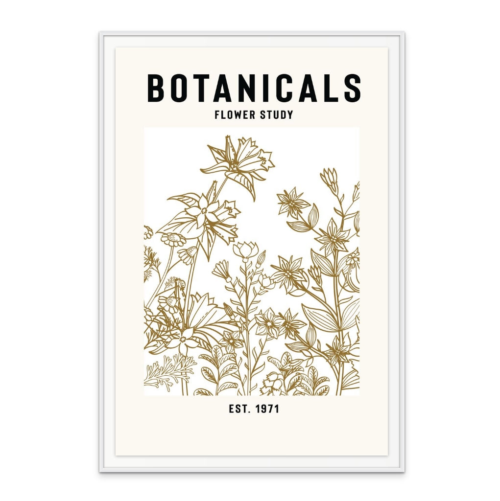 Botanicals Flower Study II Art Print