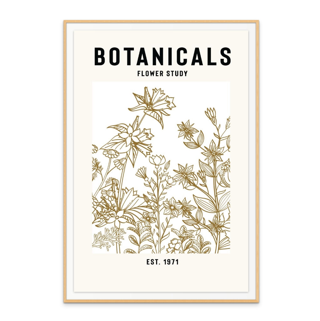 Botanicals Flower Study II Art Print