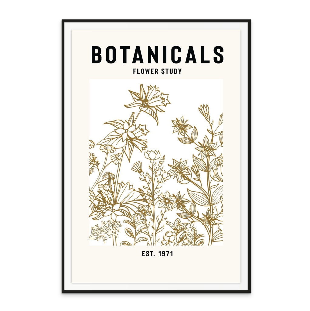 Botanicals Flower Study II Art Print