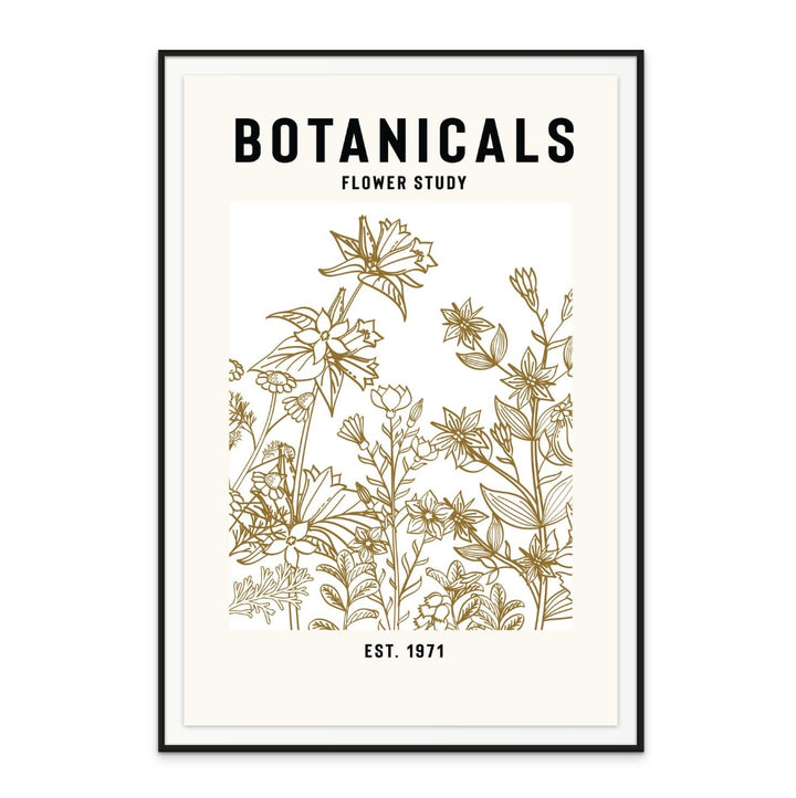 Botanicals Flower Study Ii Art Print