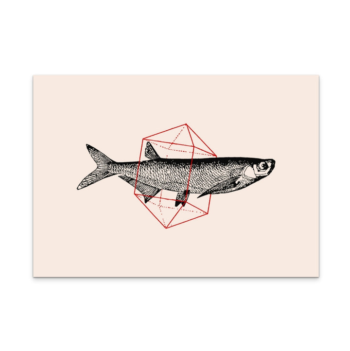 Fish In Geometrics NAo2 Art Print