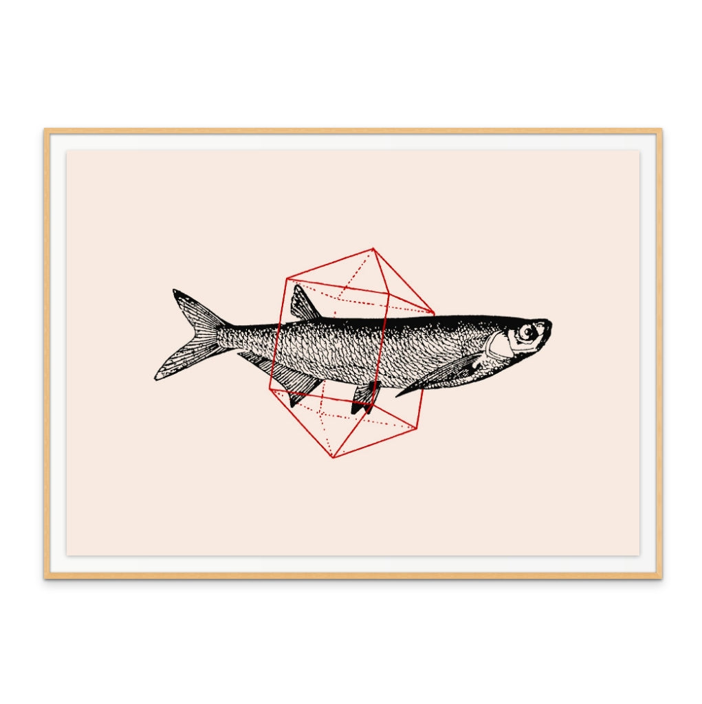 Fish In Geometrics NAo2 Art Print