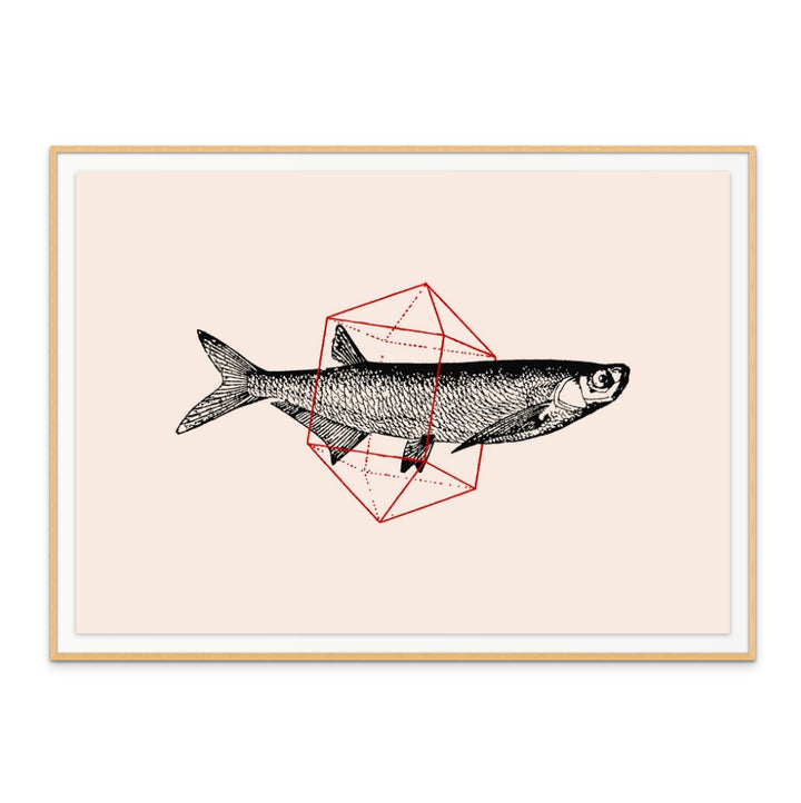 Fish In Geometrics NAo2 Art Print