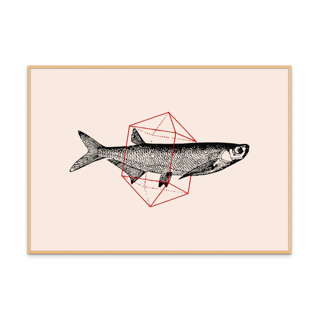 Fish In Geometrics NAo2 Art Print