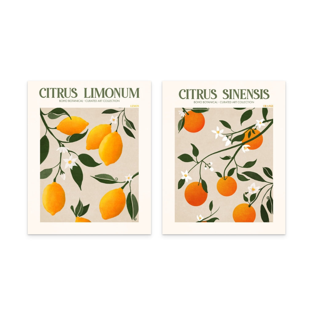 Set "Citrus" Art Prints