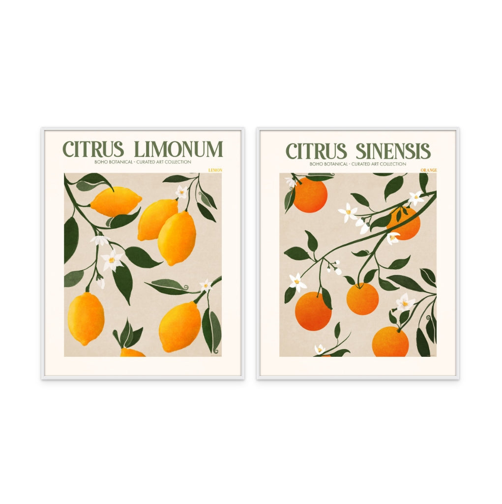 Set "Citrus" Art Prints