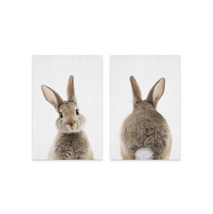 Set "Peekaboo Bunny" + "Peekaboo Bunny Tail" Art Print