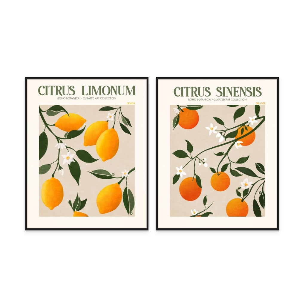 Set "Citrus" Art Prints