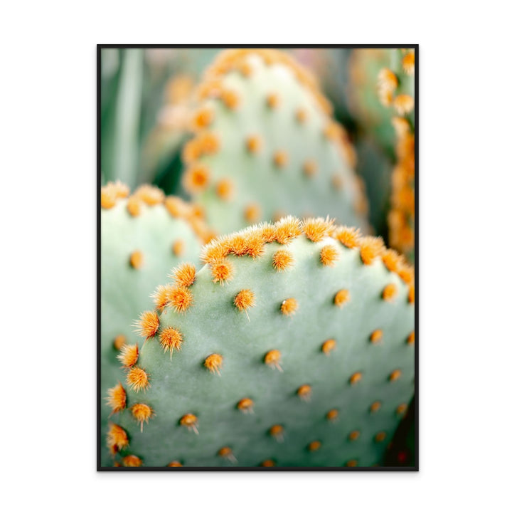 Orange and Green II - Marrakech botanical photography Art Print