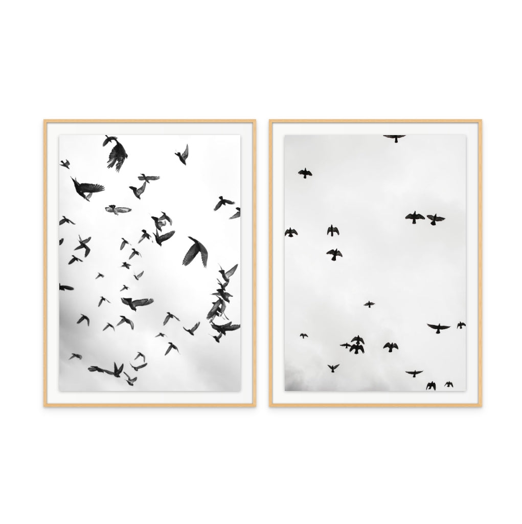 Set "Flight a Freedom No5" + "Flight a Freedom No4" Art Prints