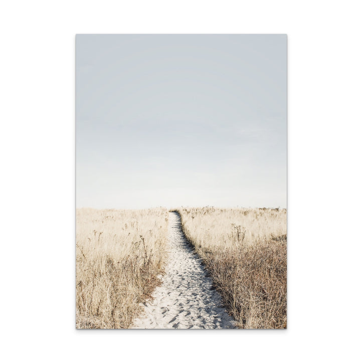 To The Beach Art Print