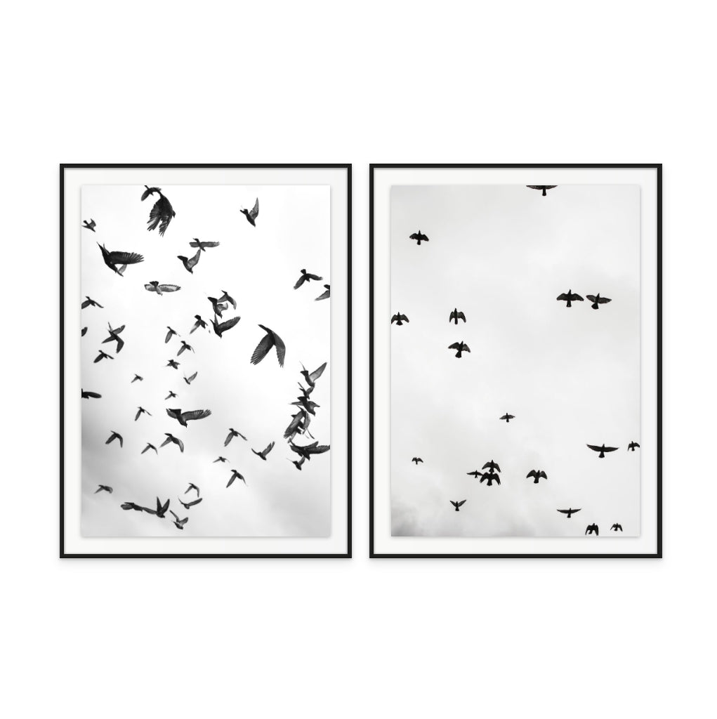 Set "Flight a Freedom No5" + "Flight a Freedom No4" Art Prints