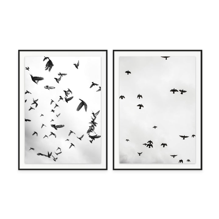 Set "Flight a Freedom" Art Prints