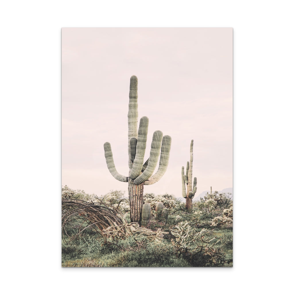 Pink Saguaro Art Print