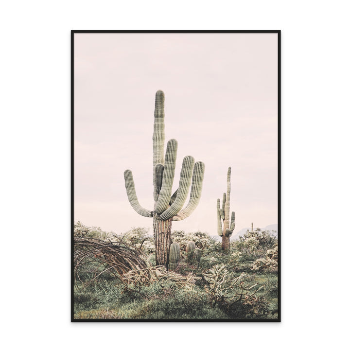 Pink Saguaro Art Print