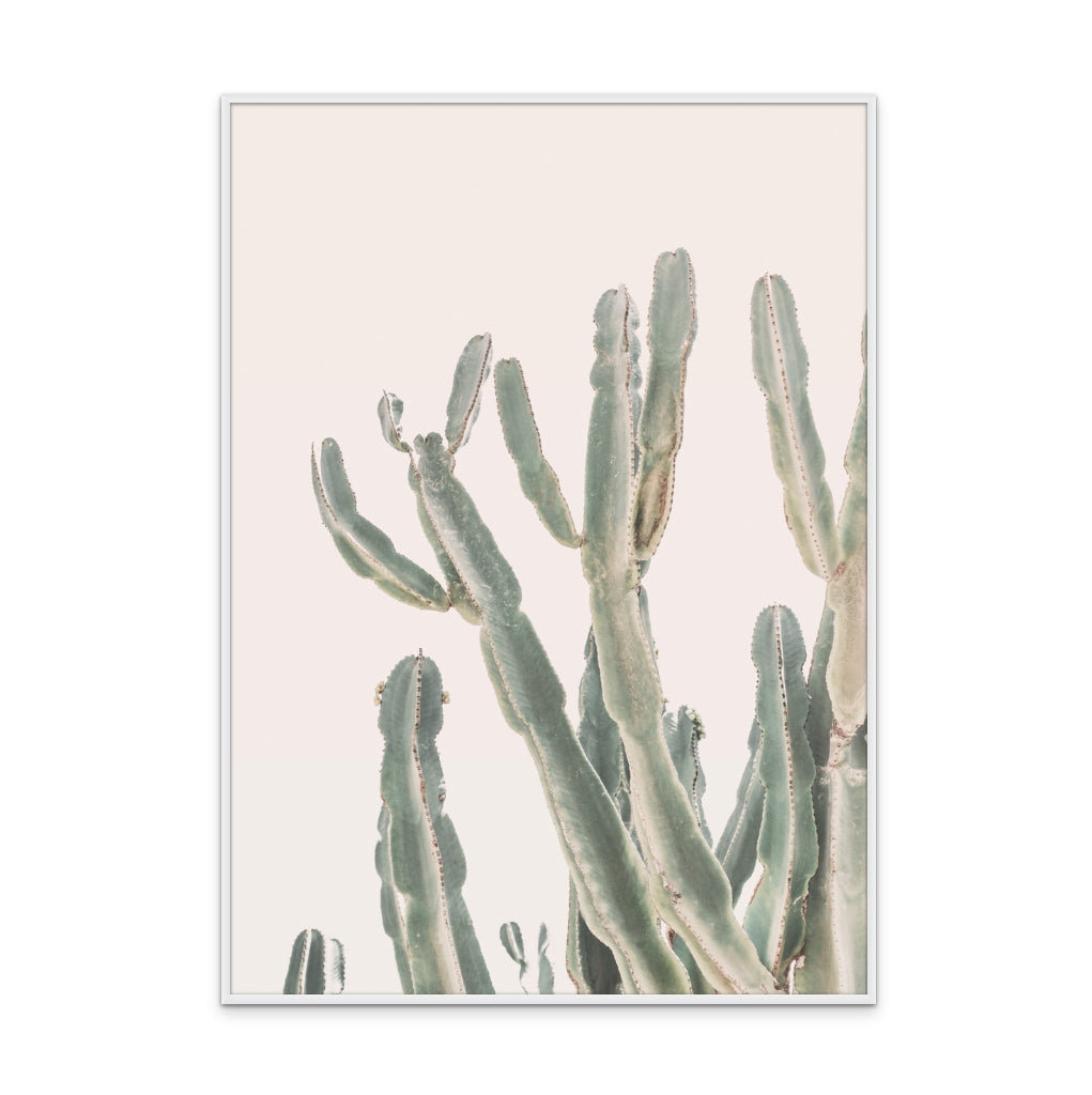 Sunrise Cactus Art Print