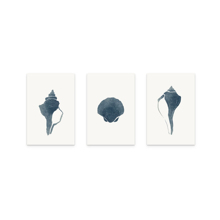 Set de "Blue Seashell I" + "Blue Seashell II" + "Blue Seashell III" Art Prints