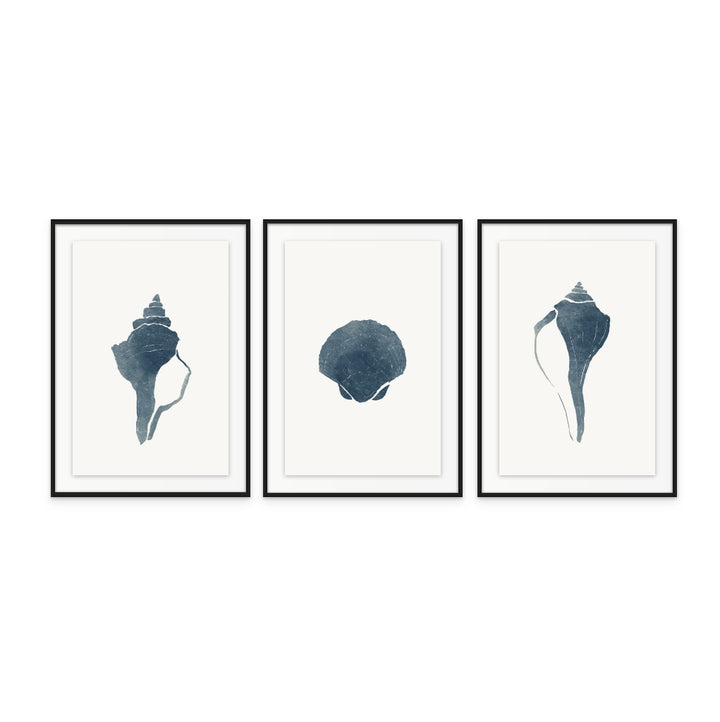 Set de "Blue Seashell I" + "Blue Seashell II" + "Blue Seashell III" Art Prints