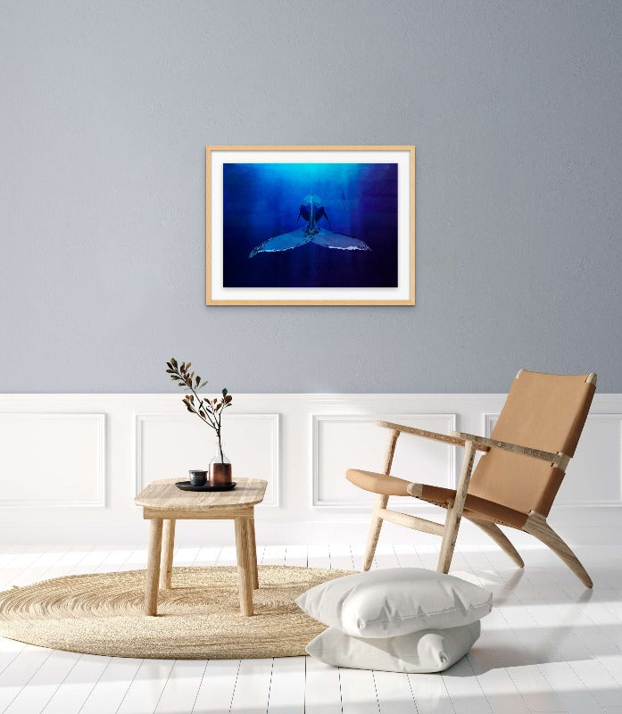 Whale Art Print