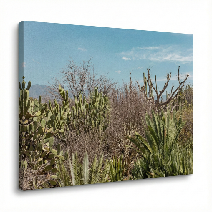 Cuadro "Cactus Oaxaca"
