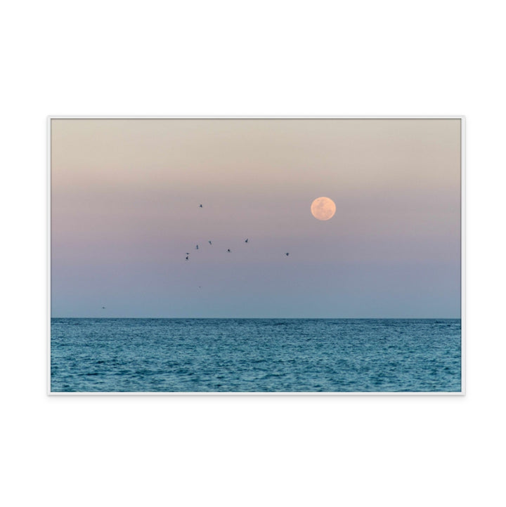 Moonrise Art Print