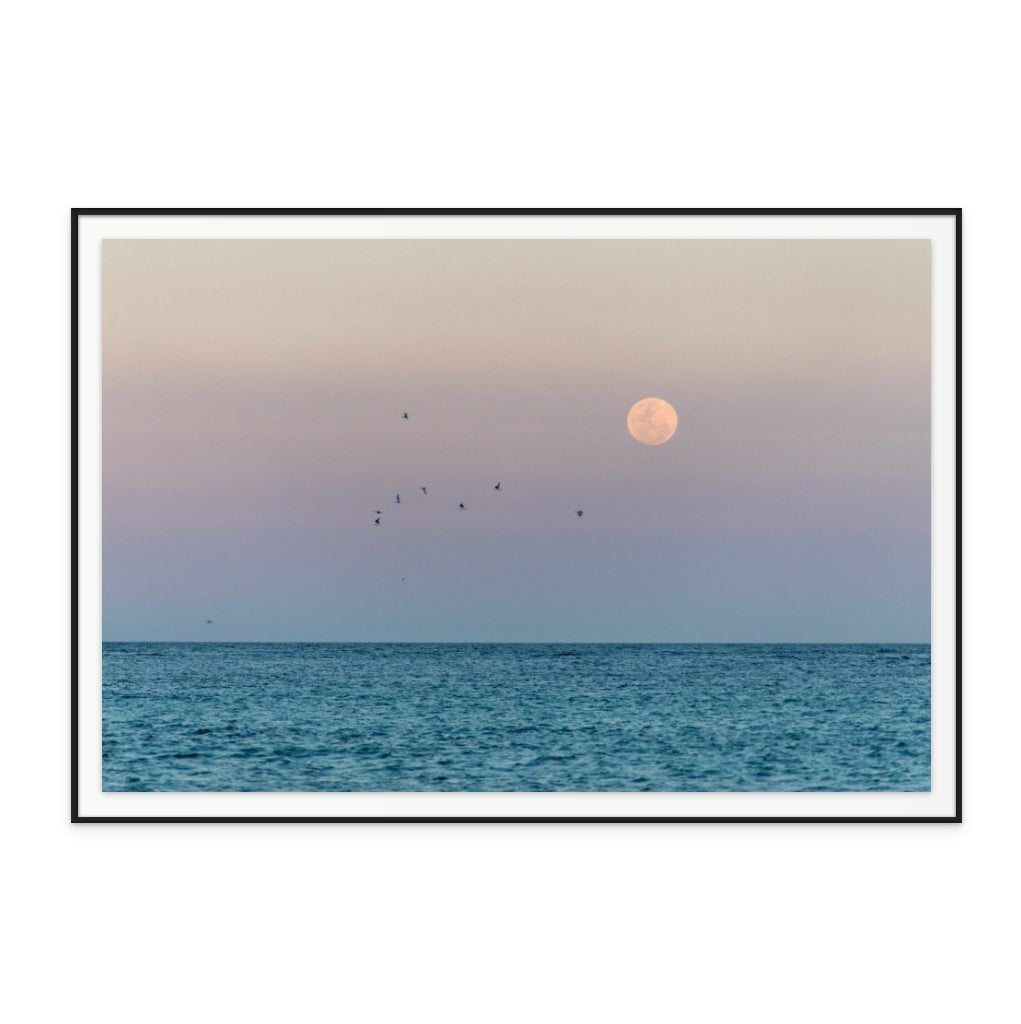 Moonrise Art Print