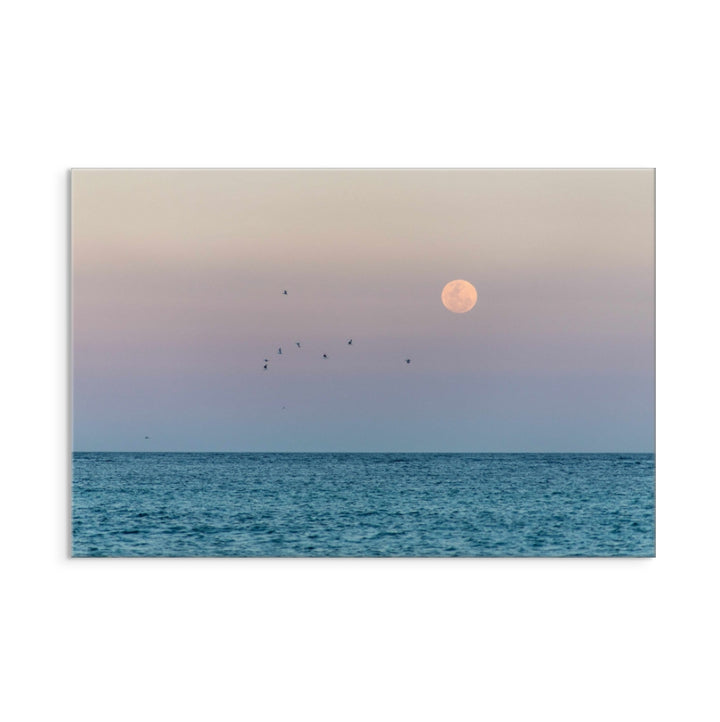 Moonrise Art Print