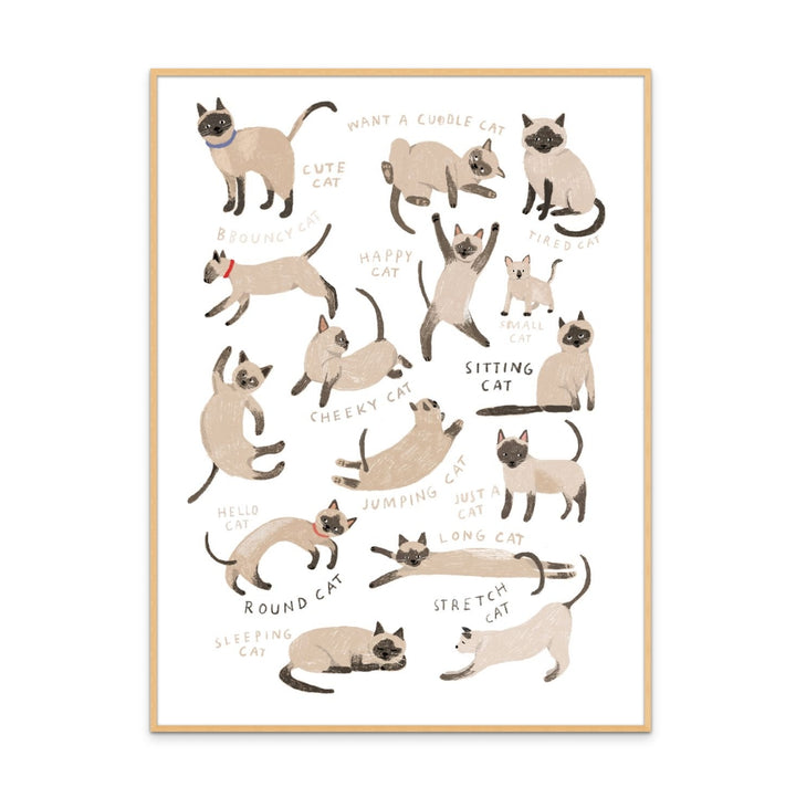 Siamese Cat Art Print