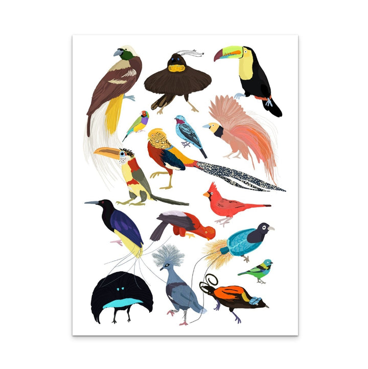 Birds of Paradise Art Print