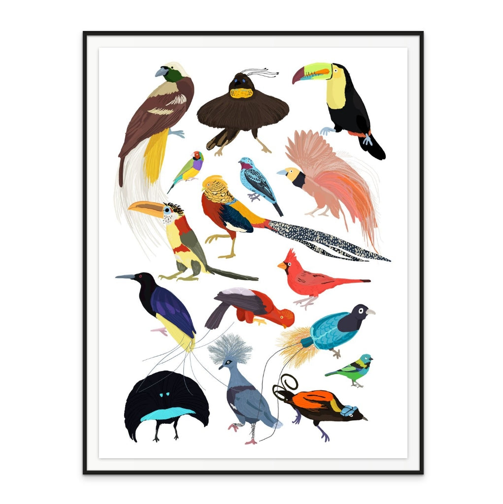 Birds of Paradise Art Print