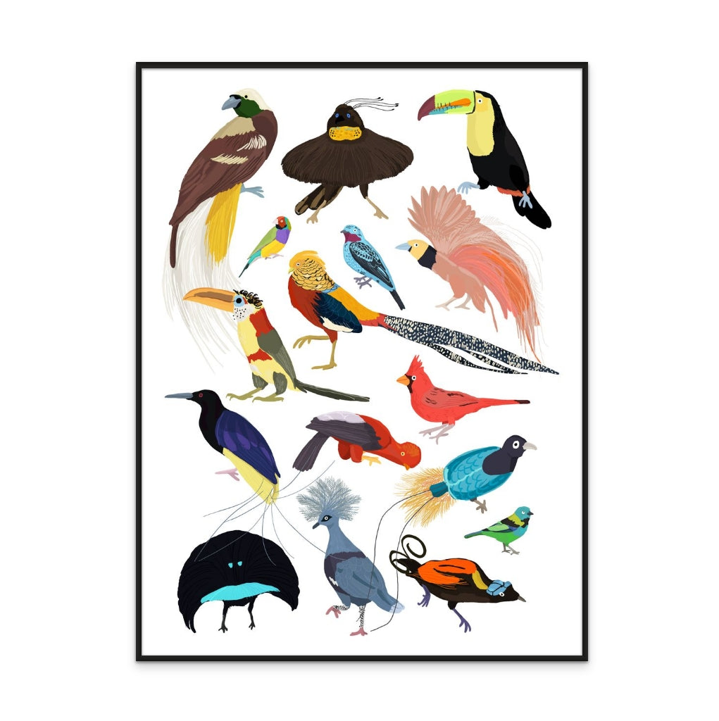 Birds of Paradise Art Print