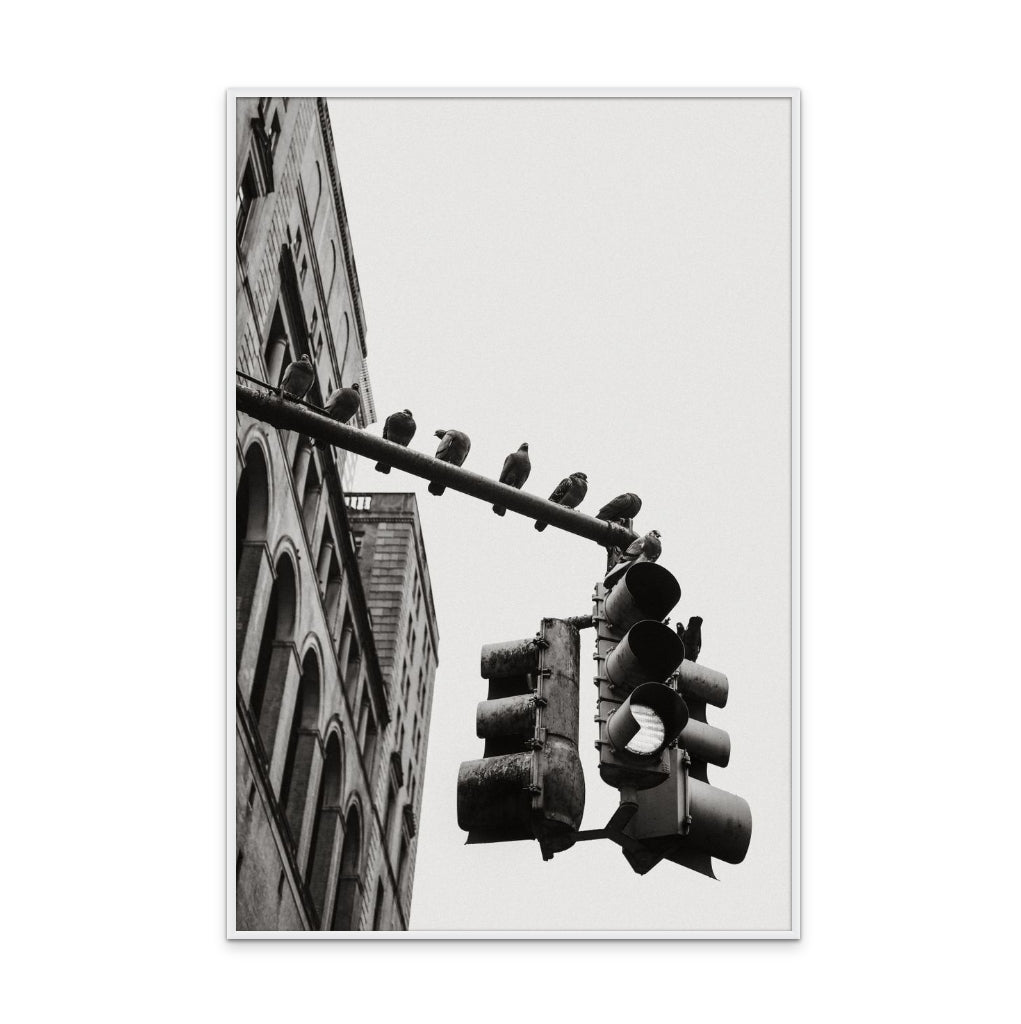 New York City Doves Art Print