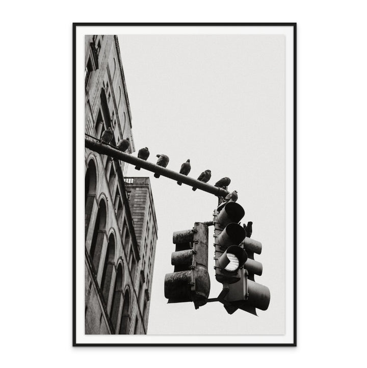 New York City Doves Art Print