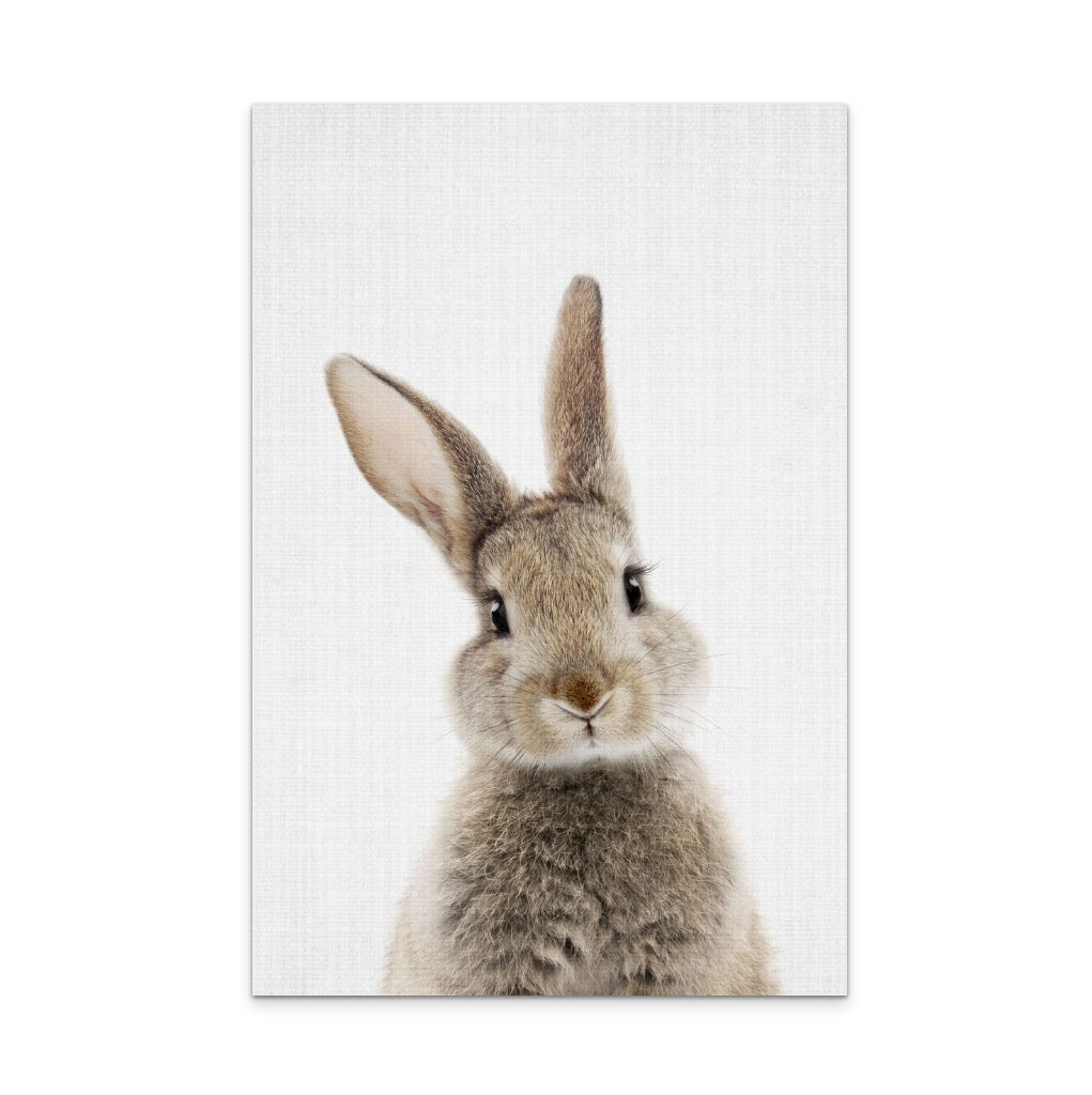 Peekaboo Bunny Art Print